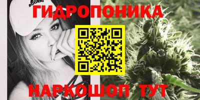 а пвп мука Гатчина