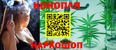 мдпв Гай