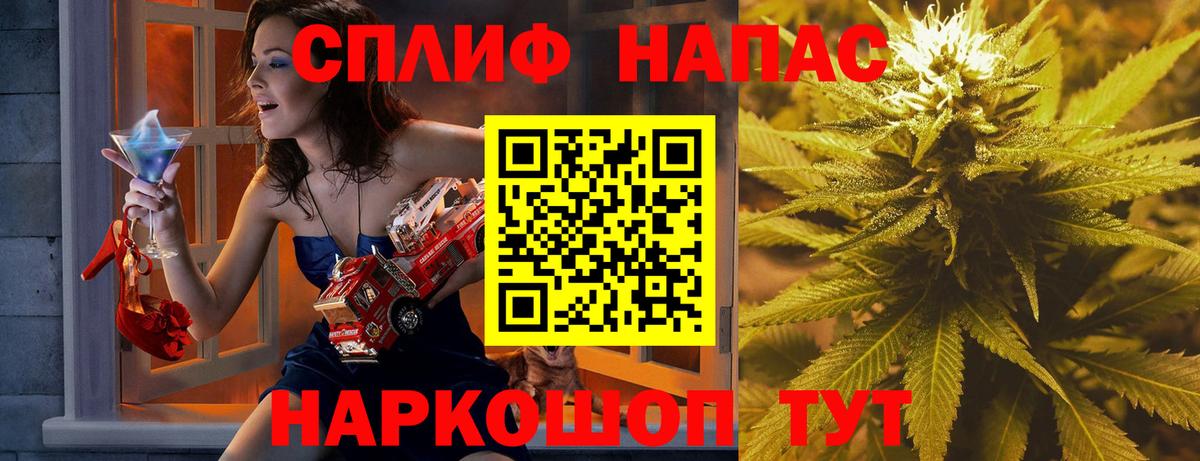 МАРИХУАНА сатива Нальчик